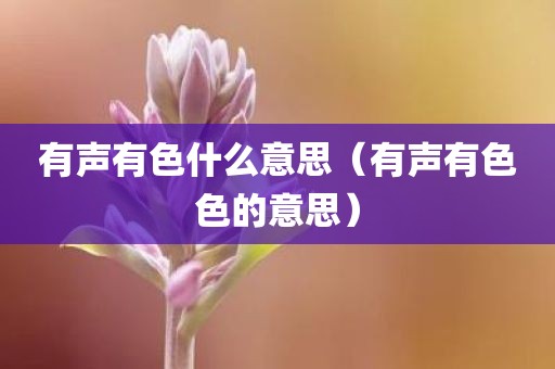 有声有色什么意思（有声有色色的意思）