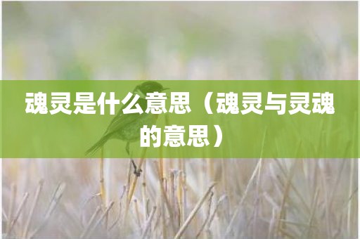 魂灵是什么意思（魂灵与灵魂的意思）