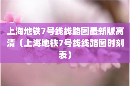 上海地铁7号线线路图最新版高清（上海地铁7号线线路图时刻表）