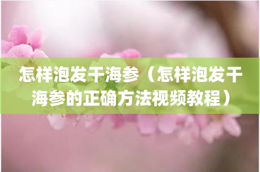 怎样泡发干海参（怎样泡发干海参的正确方法视频教程）