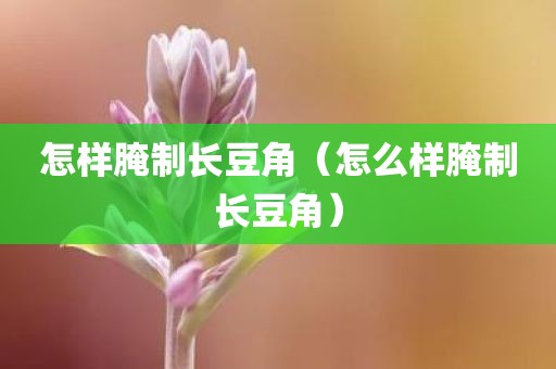 怎样腌制长豆角（怎么样腌制长豆角）