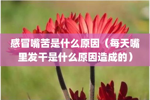 感冒嘴苦是什么原因（每天嘴里发干是什么原因造成的）