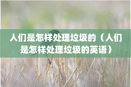 人们是怎样处理垃圾的（人们是怎样处理垃圾的英语）