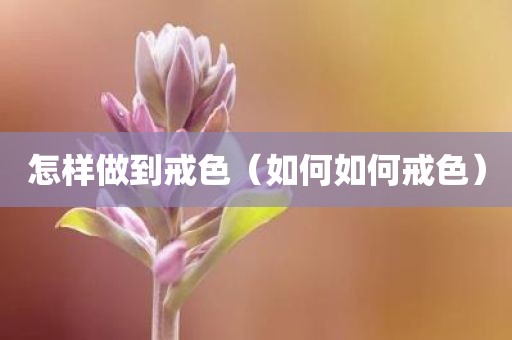 怎样做到戒色(如何如何戒色)