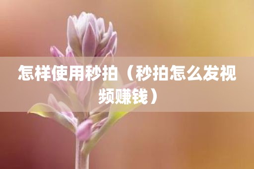 怎样使用秒拍（秒拍怎么发视频赚钱）