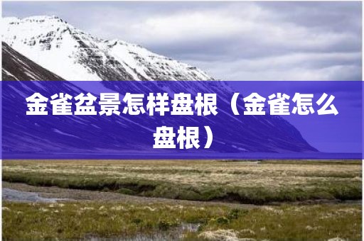 金雀盆景怎样盘根（金雀怎么盘根）