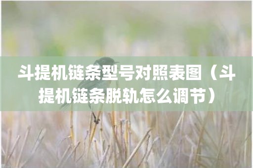 斗提机链条型号对照表图（斗提机链条脱轨怎么调节）