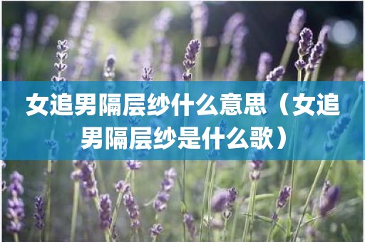 女追男隔层纱什么意思（女追男隔层纱是什么歌）