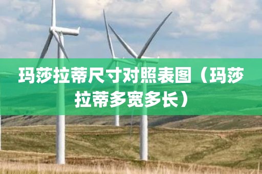玛莎拉蒂尺寸对照表图（玛莎拉蒂多宽多长）