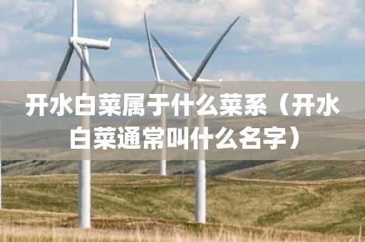开水白菜属于什么菜系（开水白菜通常叫什么名字）