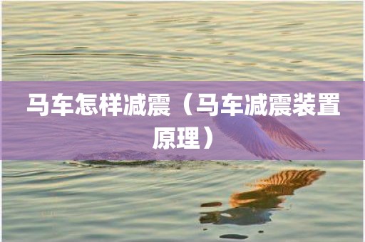 马车怎样减震（马车减震装置原理）