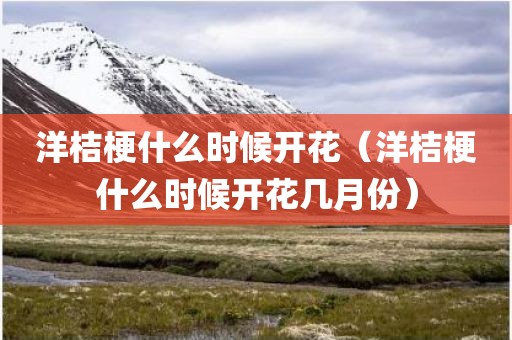 洋桔梗什么时候开花（洋桔梗什么时候开花几月份）