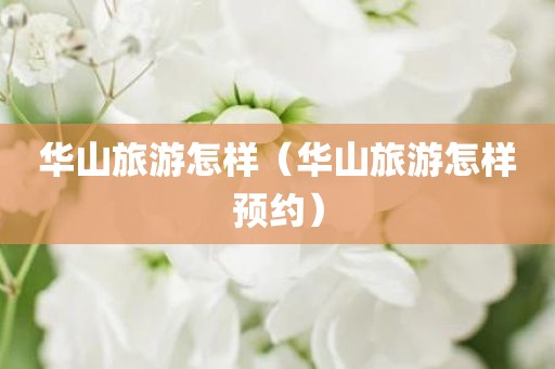 华山旅游怎样（华山旅游怎样预约）