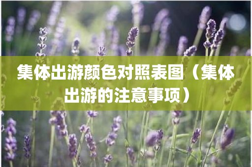 集体出游颜色对照表图（集体出游的注意事项）