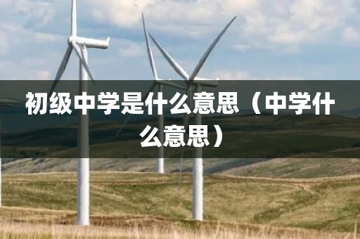 初级中学是什么意思（中学什么意思）