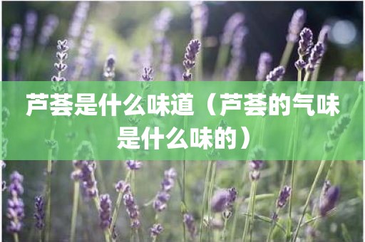 芦荟是什么味道（芦荟的气味是什么味的）