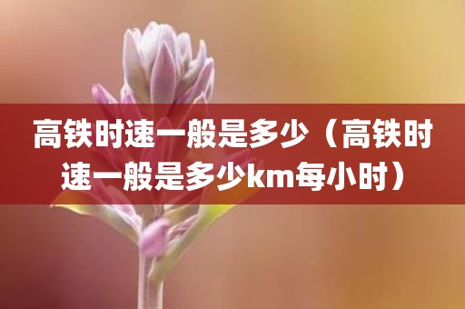 高铁时速一般是多少（高铁时速一般是多少km每小时）