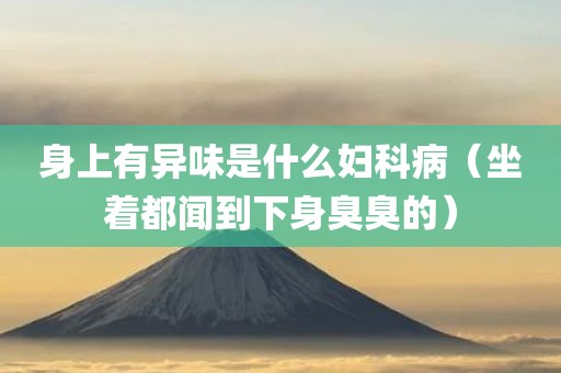 身上有异味是什么妇科病（坐着都闻到下身臭臭的）