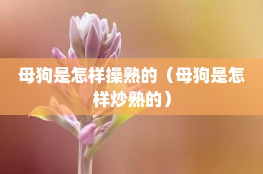 母狗是怎样操熟的（母狗是怎样炒熟的）