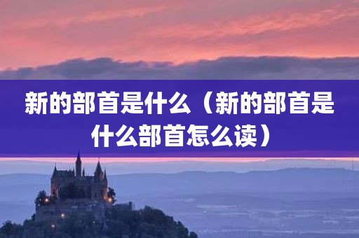 新的部首是什么（新的部首是什么部首怎么读）