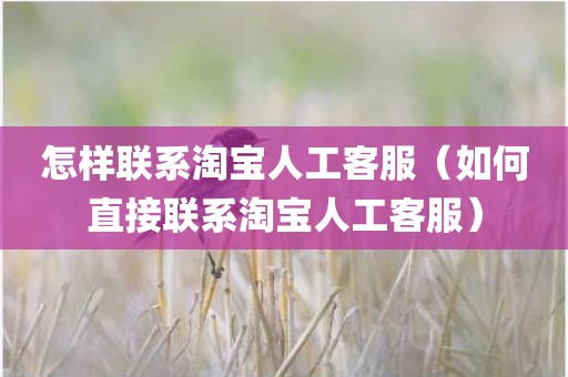 怎样联系淘宝人工客服（如何直接联系淘宝人工客服）