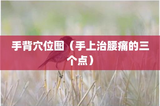 手背穴位图（手上治腰痛的三个点）