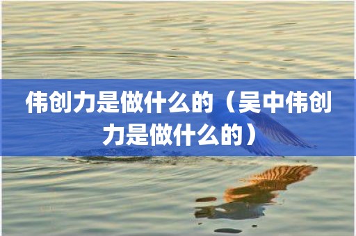 伟创力是做什么的（吴中伟创力是做什么的）