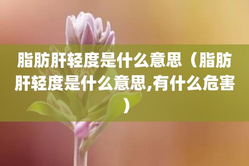 脂肪肝轻度是什么意思（脂肪肝轻度是什么意思,有什么危害）
