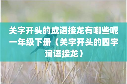 关字开头的成语接龙有哪些呢一年级下册（关字开头的四字词语接龙）