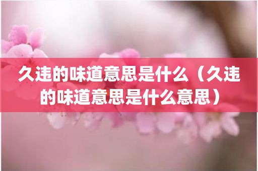 久违的味道意思是什么（久违的味道意思是什么意思）