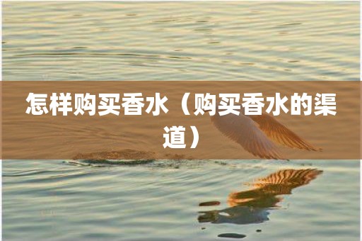 怎样购买香水(购买香水的渠道)
