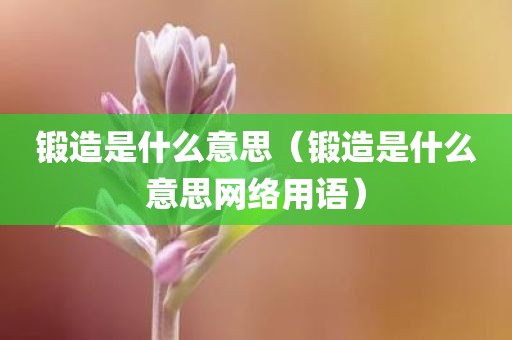 锻造是什么意思（锻造是什么意思网络用语）