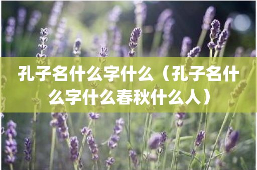 孔子名什么字什么（孔子名什么字什么春秋什么人）