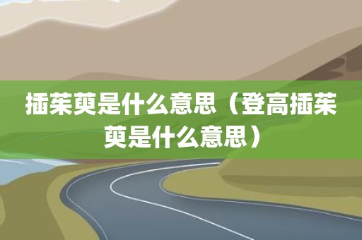 插茱萸是什么意思（登高插茱萸是什么意思）