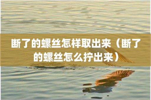 断了的螺丝怎样取出来(断了的螺丝怎么拧出来) 断了的螺丝怎样取出来(断了的螺丝怎么拧出来)