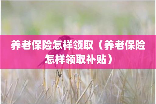 养老保险怎样领取（养老保险怎样领取补贴）