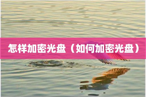 怎样加密光盘（如何加密光盘）