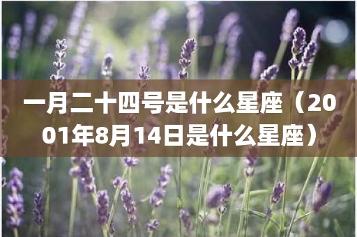 一月二十四号是什么星座（2001年8月14日是什么星座）
