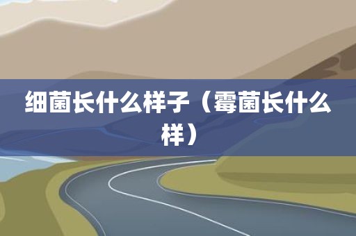 细菌长什么样子（霉菌长什么样）