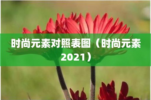 时尚元素对照表图（时尚元素2021）