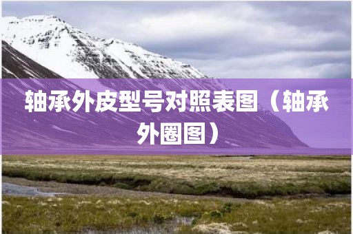 轴承外皮型号对照表图（轴承外圈图）