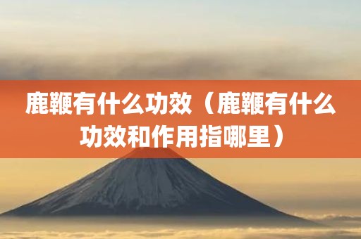 鹿鞭有什么功效（鹿鞭有什么功效和作用指哪里）