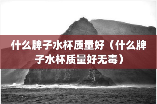 什么牌子水杯质量好（什么牌子水杯质量好无毒）
