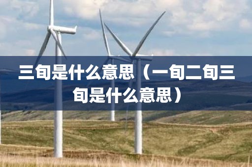 三旬是什么意思（一旬二旬三旬是什么意思）