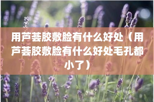 用芦荟胶敷脸有什么好处（用芦荟胶敷脸有什么好处毛孔都小了）