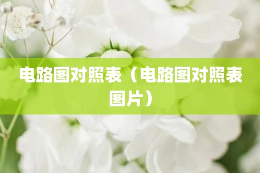 电路图对照表（电路图对照表图片）