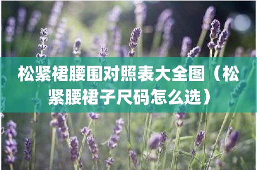松紧裙腰围对照表大全图（松紧腰裙子尺码怎么选）