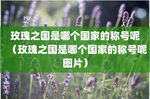 玫瑰之国是哪个国家的称号呢（玫瑰之国是哪个国家的称号呢图片）