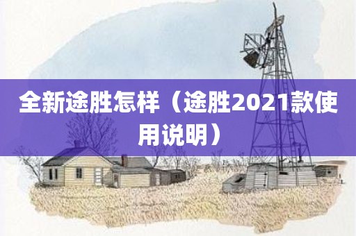 全新途胜怎样（途胜2021款使用说明）