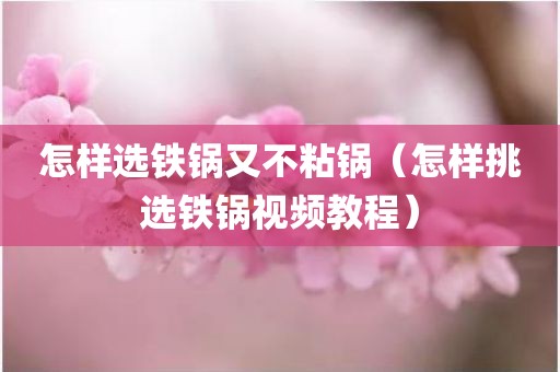 怎样选铁锅又不粘锅（怎样挑选铁锅视频教程）